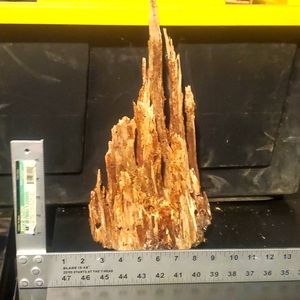 Beautiful Large piece of wood for arts, crafts resin lamp, decor etc